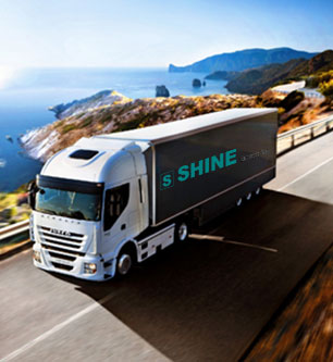 shine-frozen-food-carrier